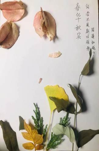 8543519006b76a54e5cf0abb4f5539b