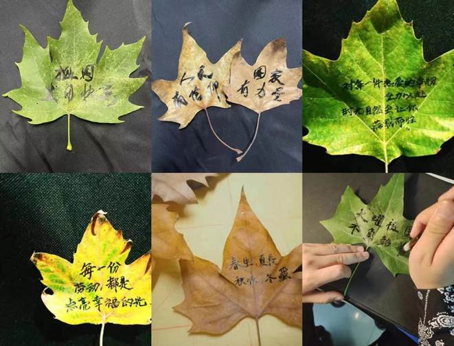 65657258faaf1eddc926201e580324d