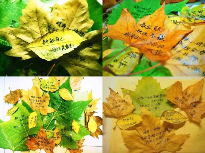 76a9b78fa5c665ea41762c4382346fd